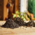 نوشیدنی و دم نوشها